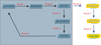 Peer Review Process